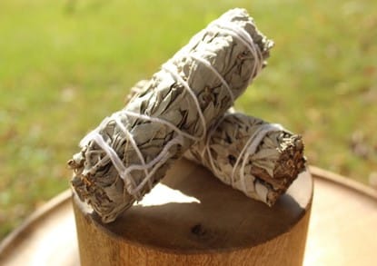 La sauge, une plante sacrée utilisée depuis des siècles par différentes cultures à des fins de purification, offre une méthode puissante et efficace pour nettoyer votre aura et votre espace de vie des énergies négatives.